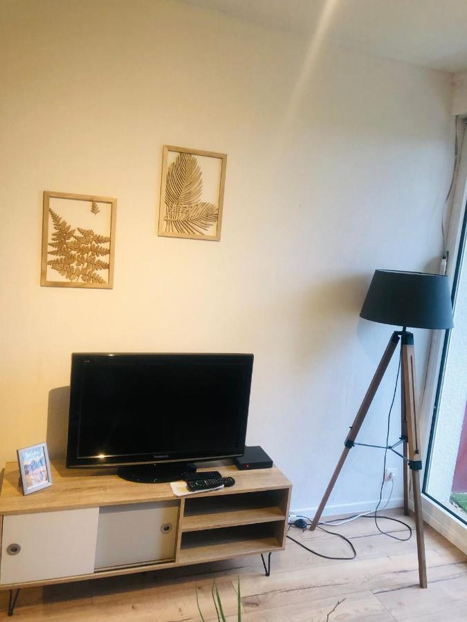 Le Petit Park-Studio-Terrasse- Piscine-Wifi Fibre Daire Pau Dış mekan fotoğraf
